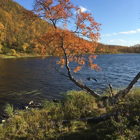 Opplev Finnmarksvidda * Masi